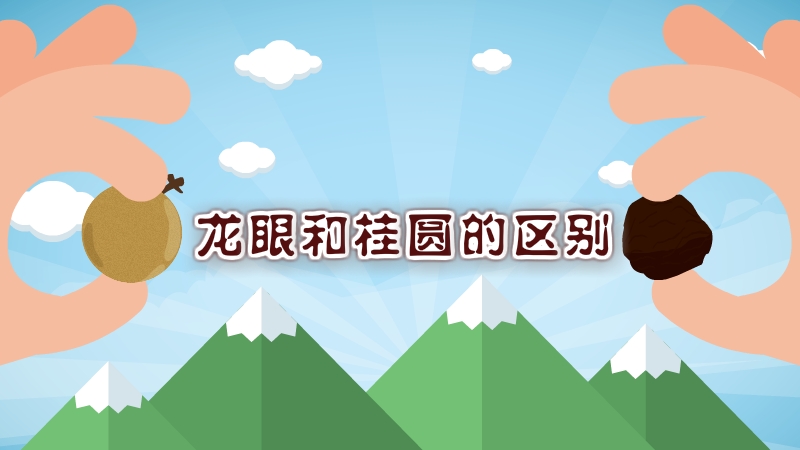 龍眼和桂圓的區別
