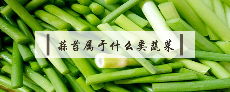 蒜苔屬于什么類蔬菜