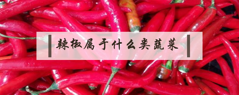 辣椒屬于什么類蔬菜