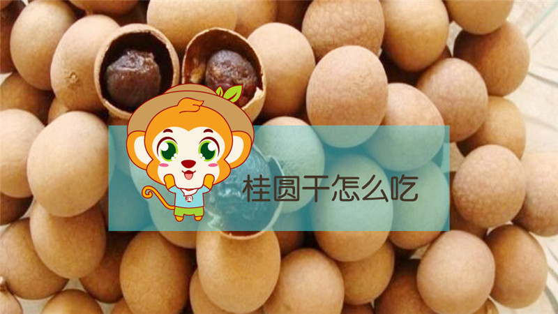 桂圓干怎么吃