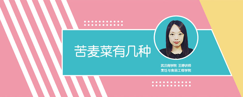 苦麥菜有幾種