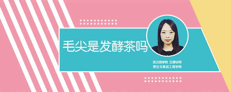 毛尖是發(fā)酵茶嗎