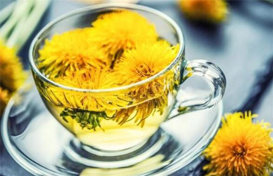 蒲公英茶可以減肥嗎，蒲公英茶和什么一起喝減肥