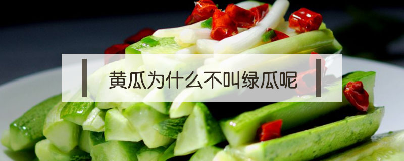 黃瓜為什么不叫綠瓜呢