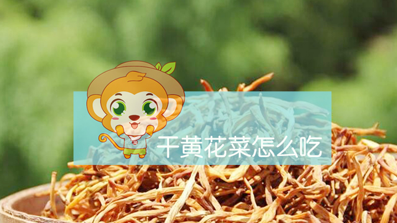干黃花菜怎么吃