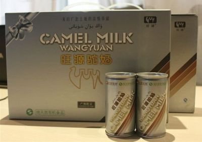 駱駝奶比牛奶好嗎，駱駝奶粉和牛奶粉有什么區(qū)別