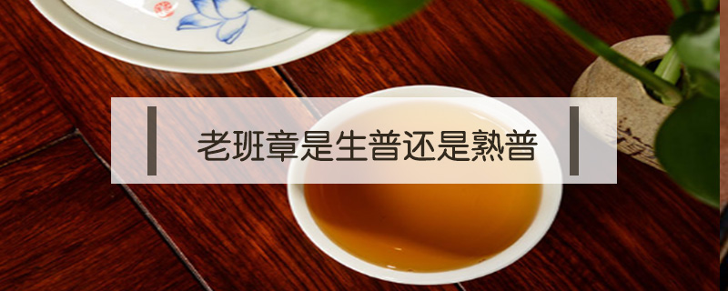 老班章是生普還是熟普