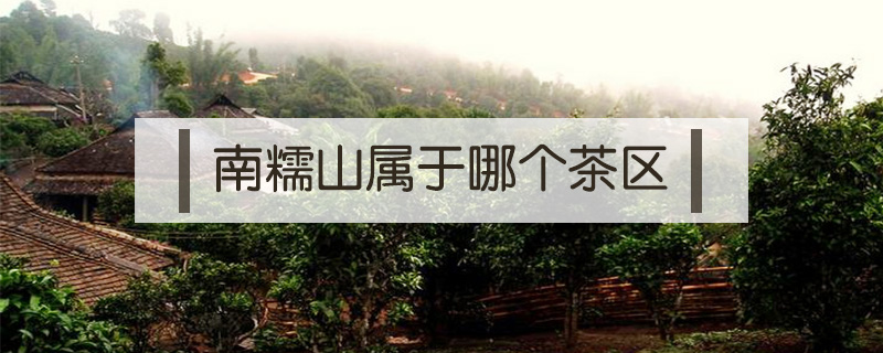 南糯山屬于哪個茶區