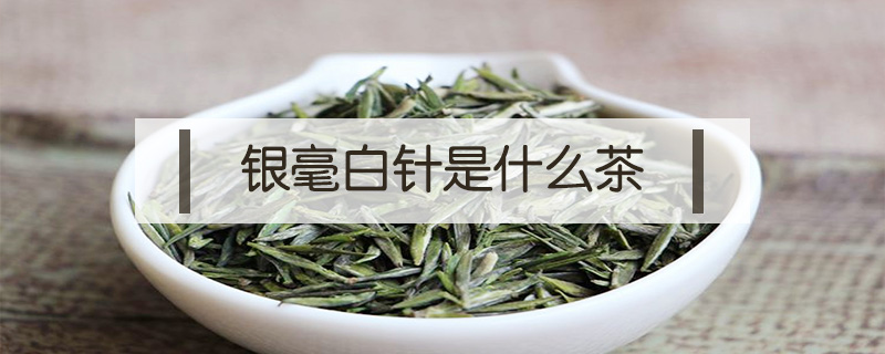 銀毫白針是什么茶