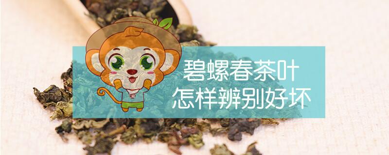 碧螺春茶葉怎樣辨別好壞