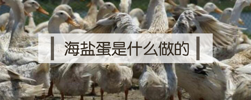 海鹽蛋是什么做的
