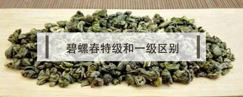 碧螺春特級和一級區別