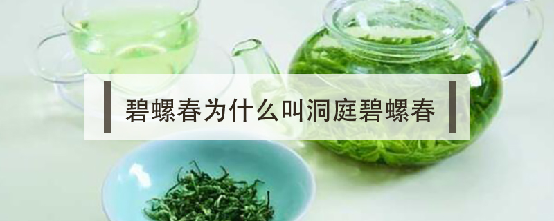 碧螺春為什么叫洞庭碧螺春
