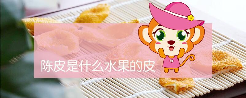 陳皮是什么水果的皮