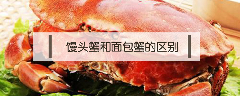 饅頭蟹和面包蟹的區別