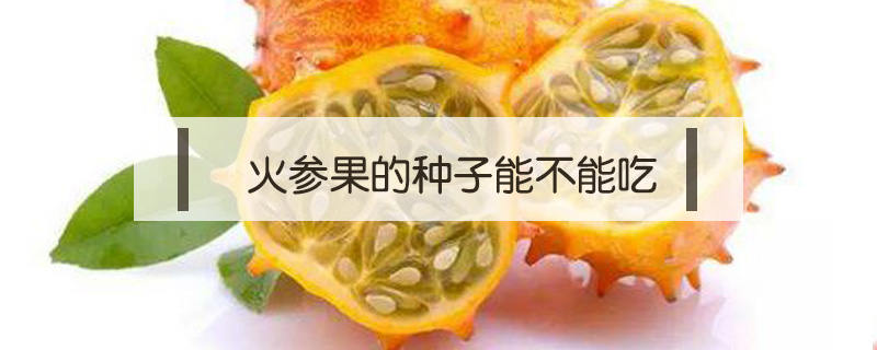 火參果的種子能不能吃
