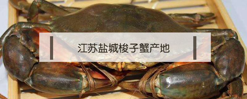 江蘇鹽城梭子蟹產地