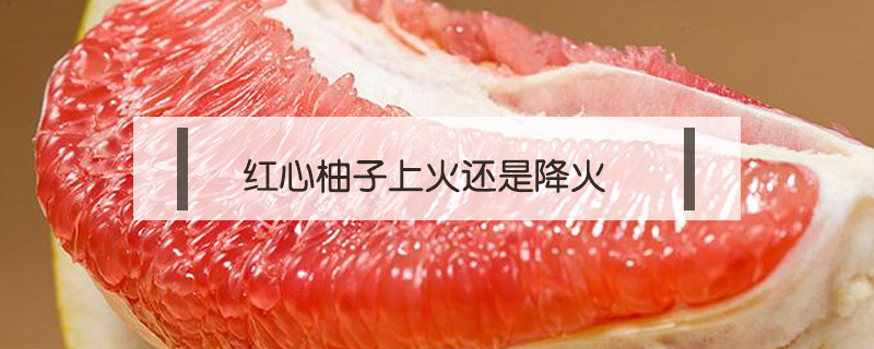 紅心柚子上火還是降火