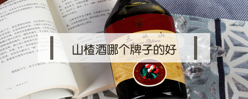 山楂酒哪個牌子的好