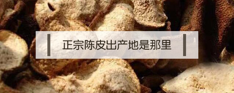 正宗陳皮出產地是那里