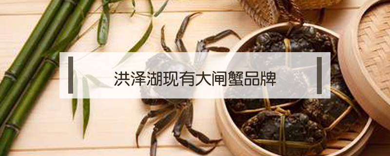 洪澤湖現有大閘蟹品牌