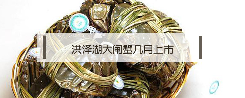 洪澤湖大閘蟹幾月上市