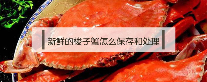 新鮮的梭子蟹怎么保存和處理
