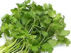 香菜什么時候種植最好，香菜種植方法和時間
