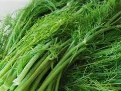 茴香菜的功效與作用及食用方法，哪些人不適合吃茴香菜