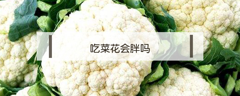 吃菜花會胖嗎