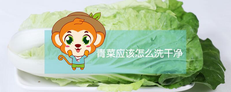 青菜應(yīng)該怎么洗干凈