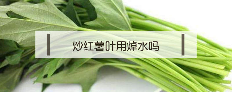 炒紅薯葉用焯水嗎