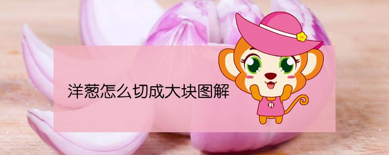 洋蔥怎么切塊圖解