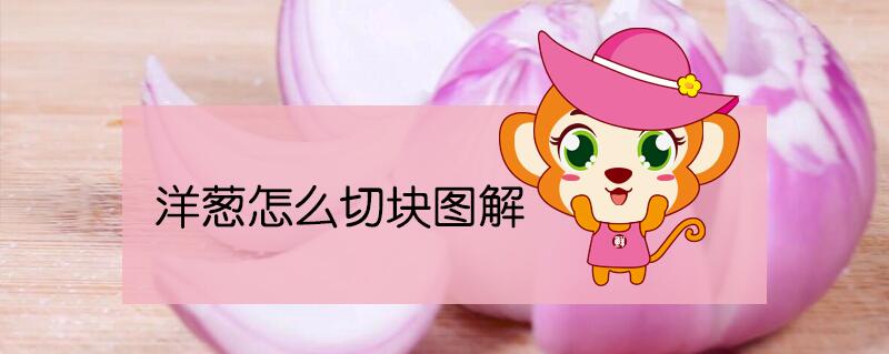 洋蔥快速切丁