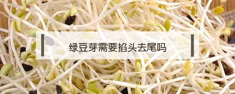 綠豆芽需要掐頭去尾嗎