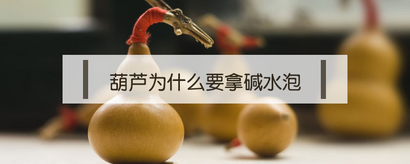 葫蘆為什么要拿堿水泡