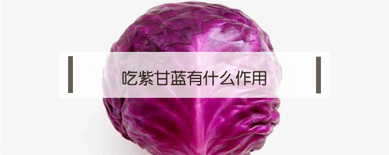 吃紫甘藍有什么作用