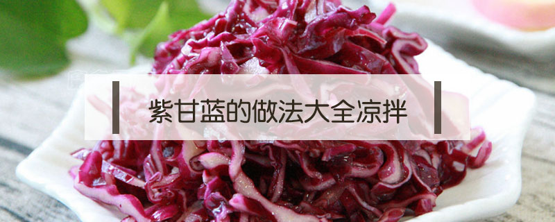 紫甘藍的做法大全涼拌
