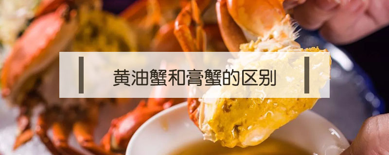 黃油蟹和膏蟹的區別