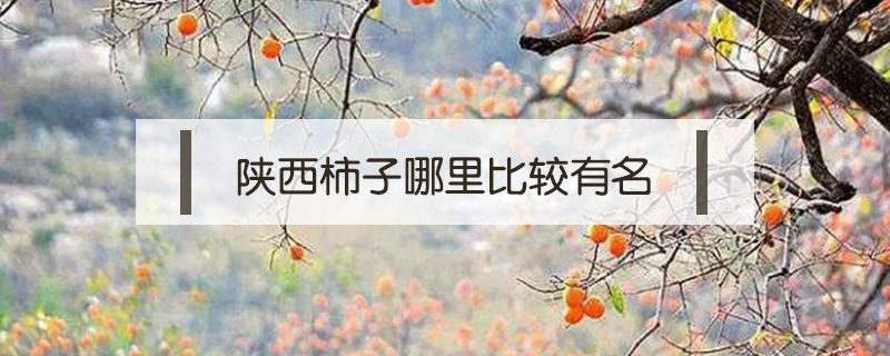 陜西柿子哪里比較有名