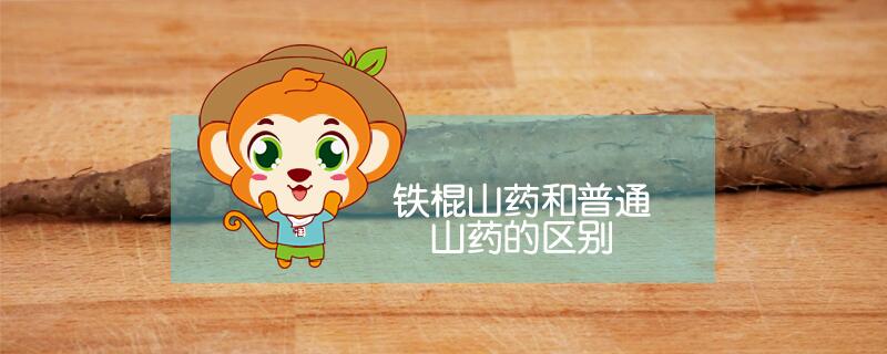 鐵棍山藥和普通山藥的區(qū)別