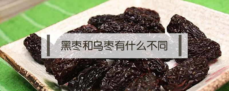黑棗和烏棗有什么不同