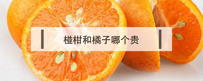 椪柑和橘子哪個貴