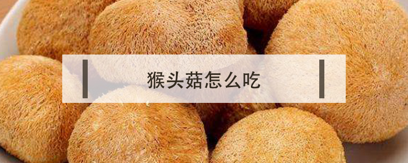 猴頭菇怎么吃