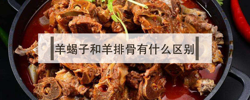 羊蝎子和羊排骨有什么區別