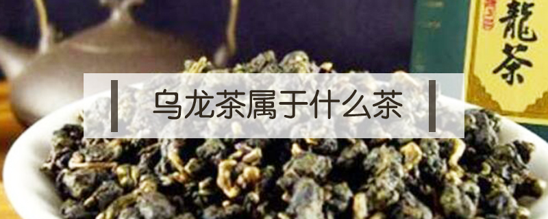 烏龍茶屬于什么茶