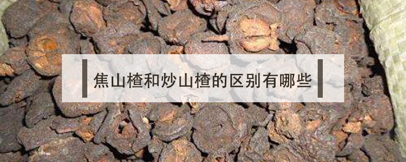 焦山楂和炒山楂的區別有哪些