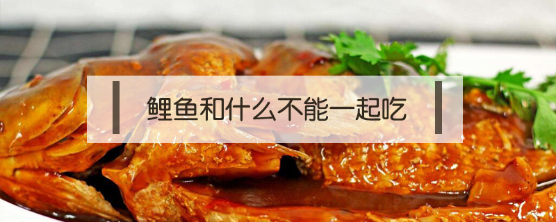鯉魚和什么不能一起吃