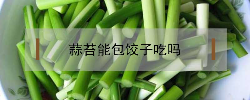 蒜苔能包餃子吃嗎