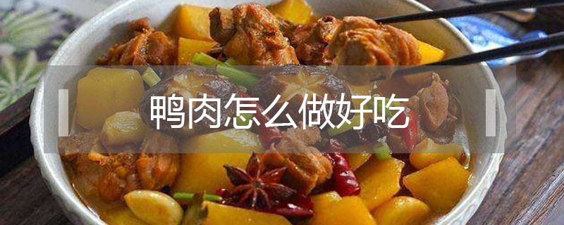 鴨肉怎么做好吃